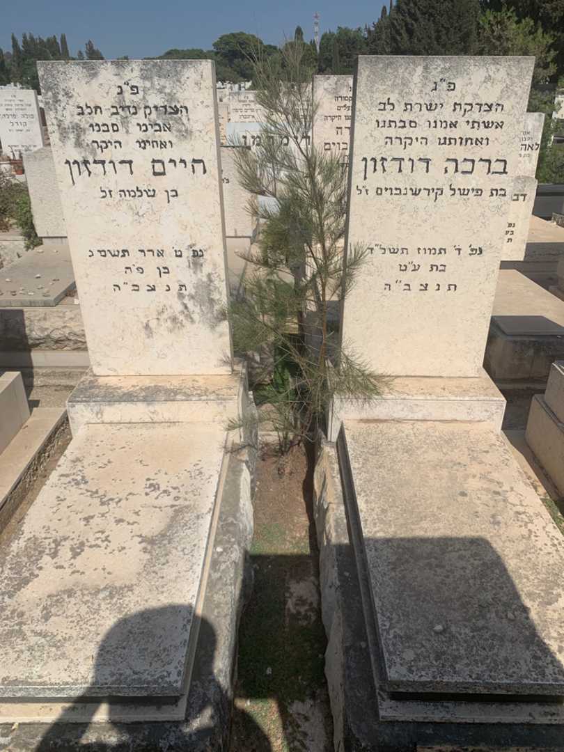 קברו של ברכה דודזון. תמונה 2