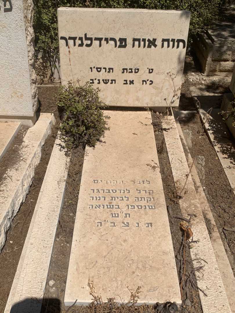 קברו של חוה אוה פרידלנדר