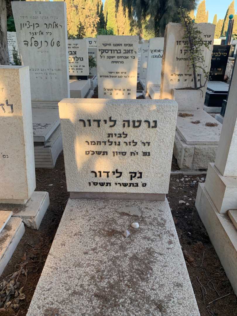 קברו של גרטה לידור. תמונה 1
