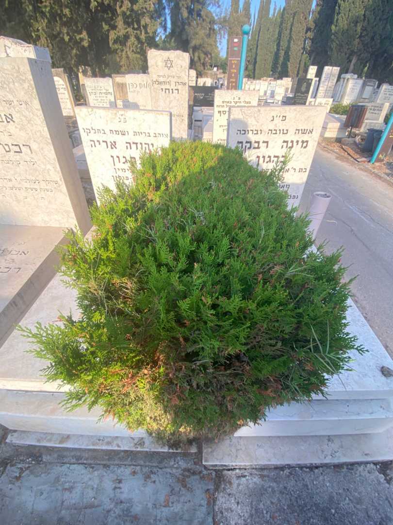 קברו של אלכסנדר צבי הכהן קפלן. תמונה 2