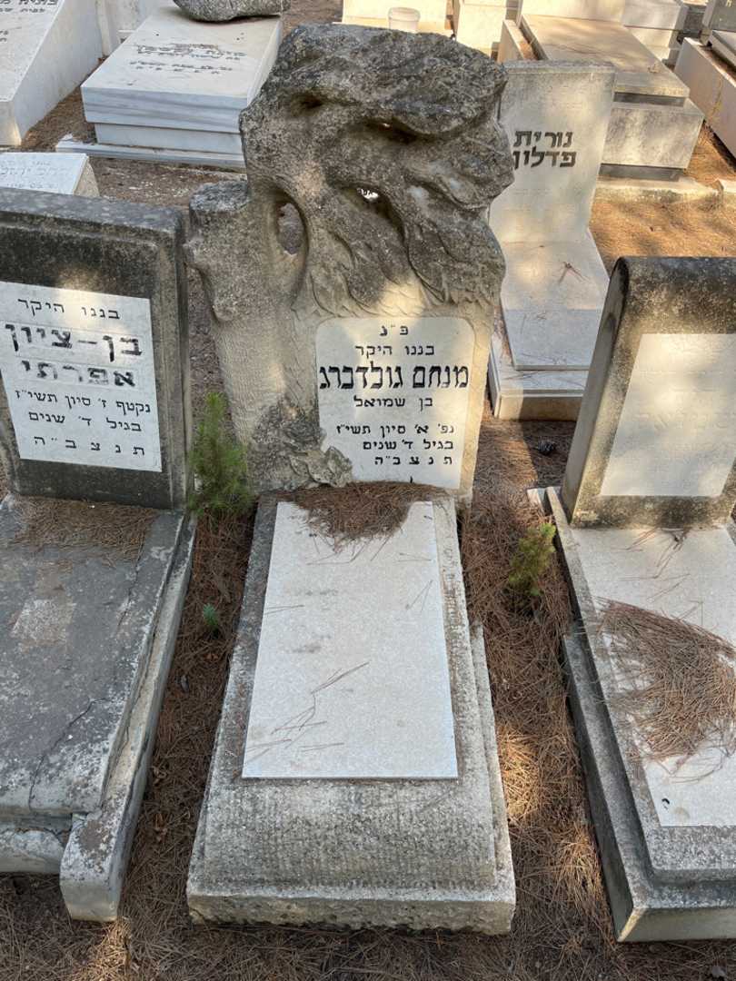 קברו של מנחם גולדברג