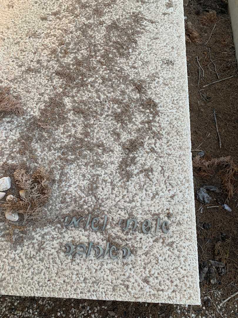 קברו של גרטה לידור. תמונה 2