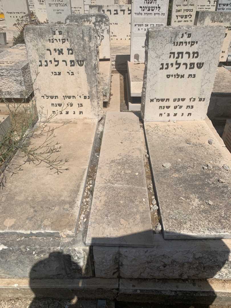 קברו של מאיר שפרלינג. תמונה 2