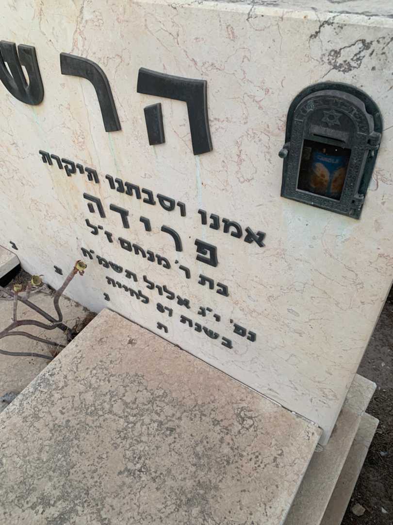 קברו של פרידה הרשקוביץ. תמונה 3