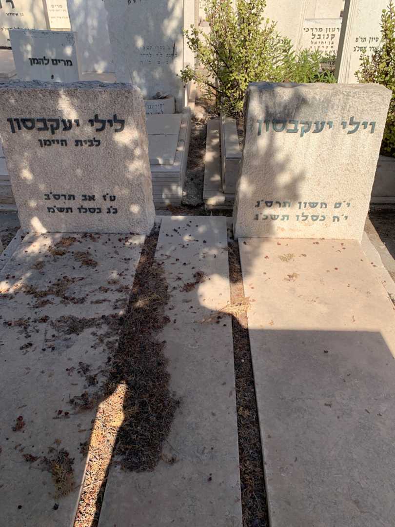 קברו של לילי יעקבסון. תמונה 1