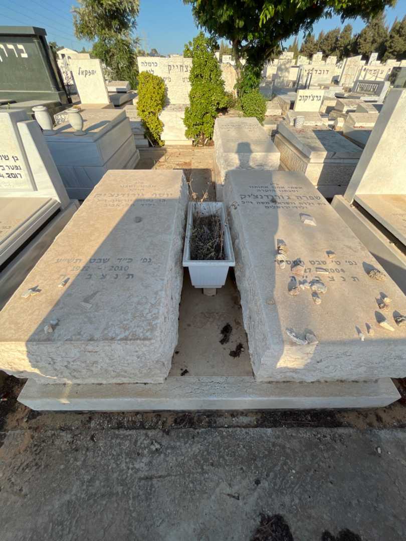 קברו של שפרה גורודנצ'יק. תמונה 2