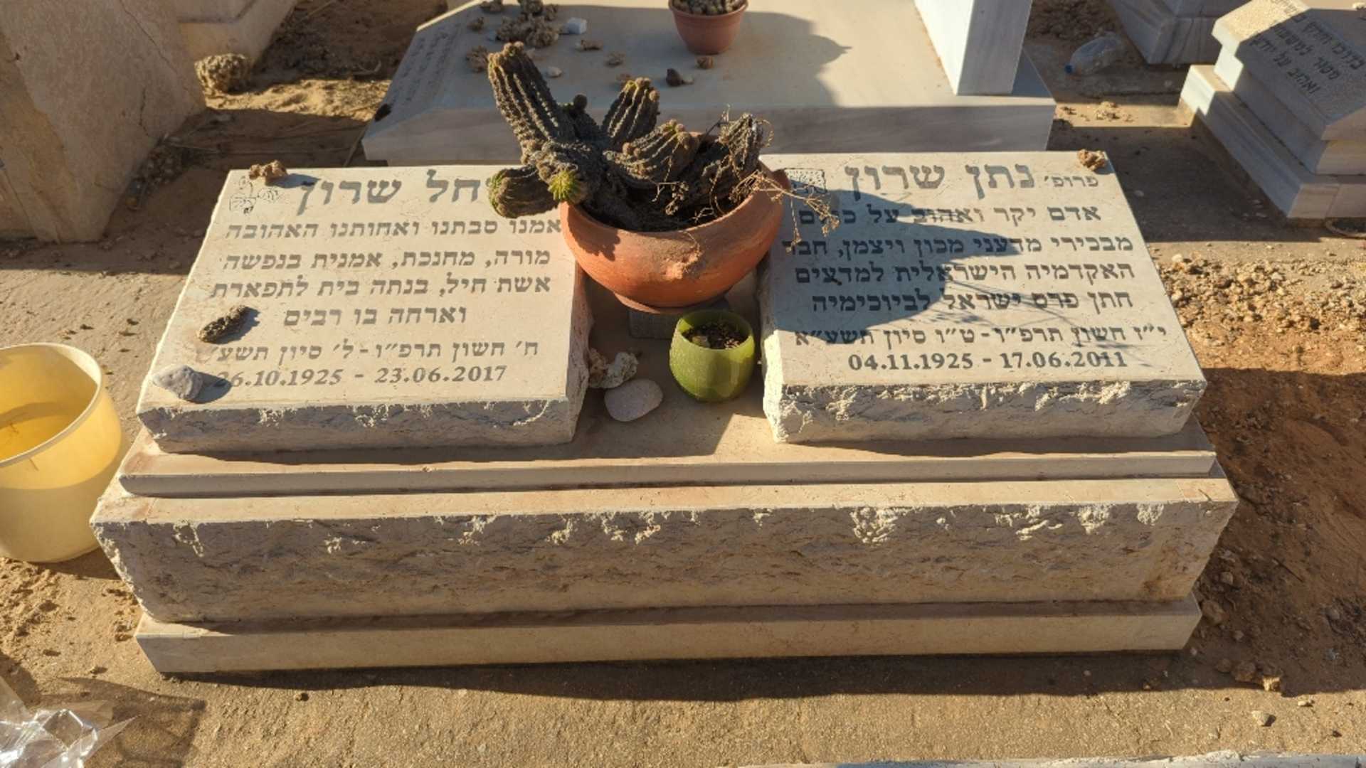 קברו של רחל שרון