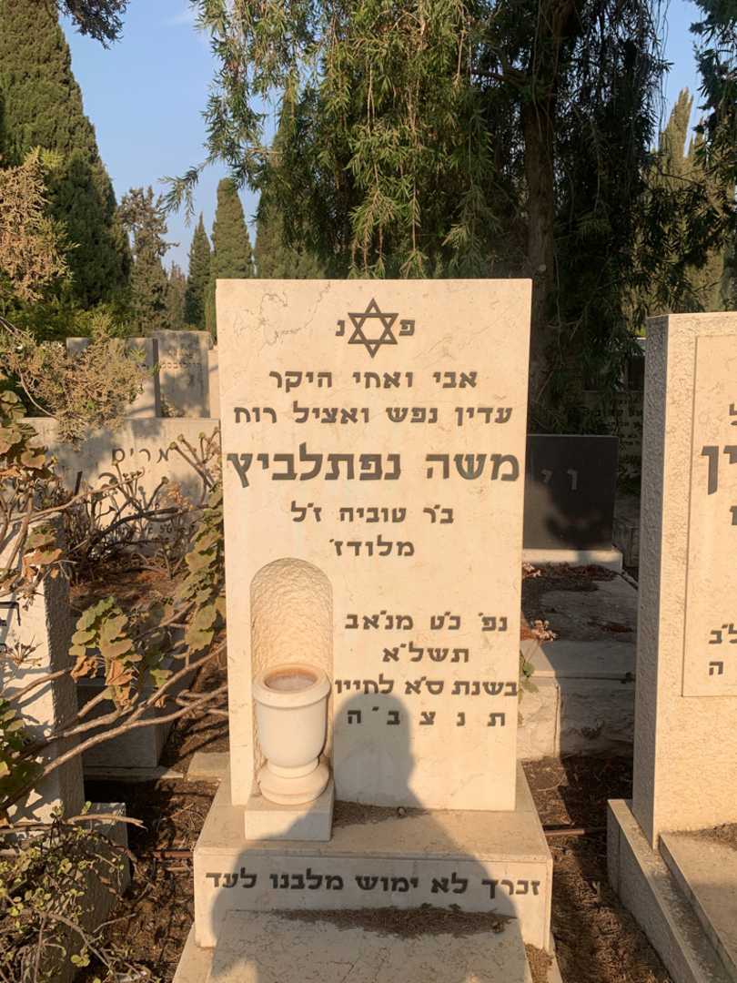 קברו של משה נפתלביץ
