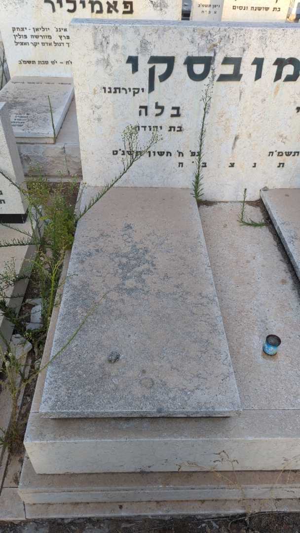 קברו של בלה חיימובסקי. תמונה 1