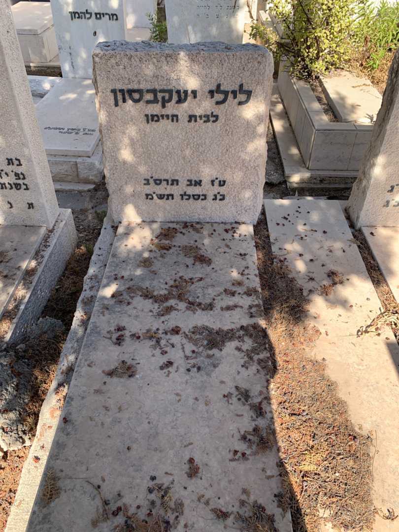 קברו של לילי יעקבסון. תמונה 2