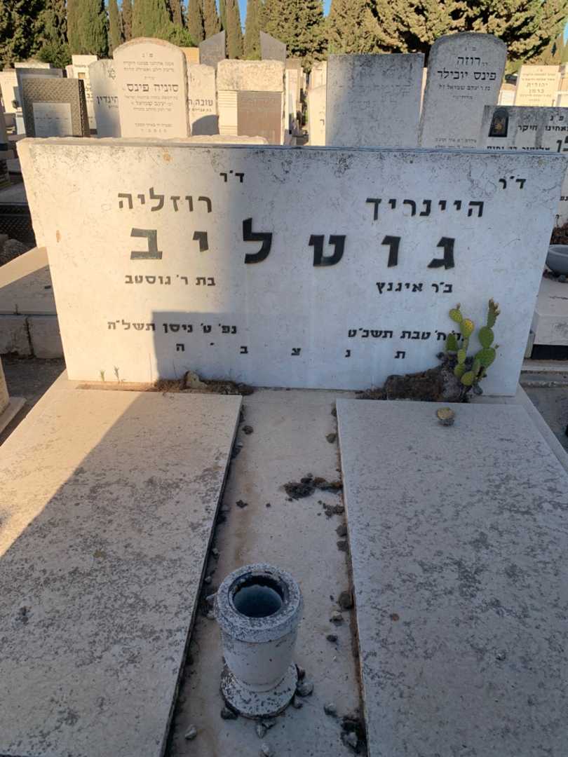 קברו של היינריך גוטליב. תמונה 1