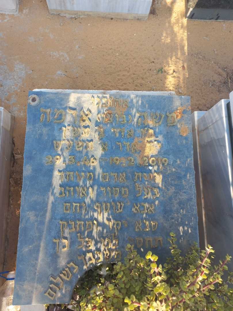 קברו של משה "בוצ'ו" ארמה. תמונה 1