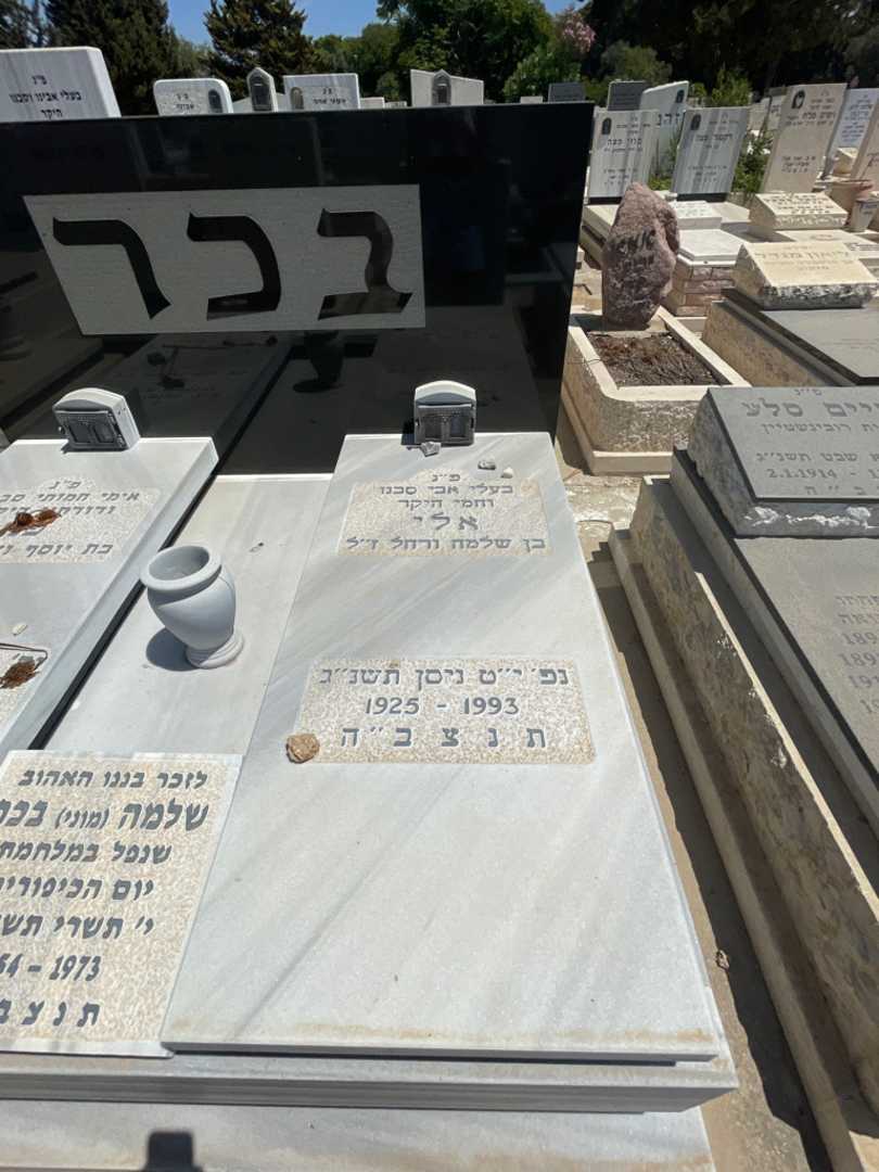 קברו של שלמה "מוני" בכר. תמונה 2