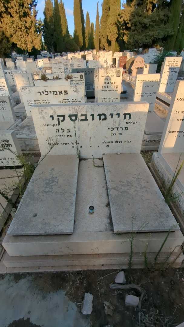 קברו של בלה חיימובסקי. תמונה 2