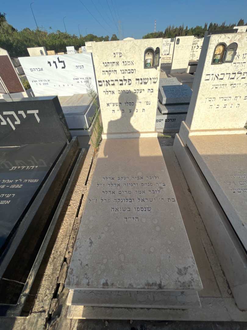 קברו של רגינה אדלר. תמונה 1