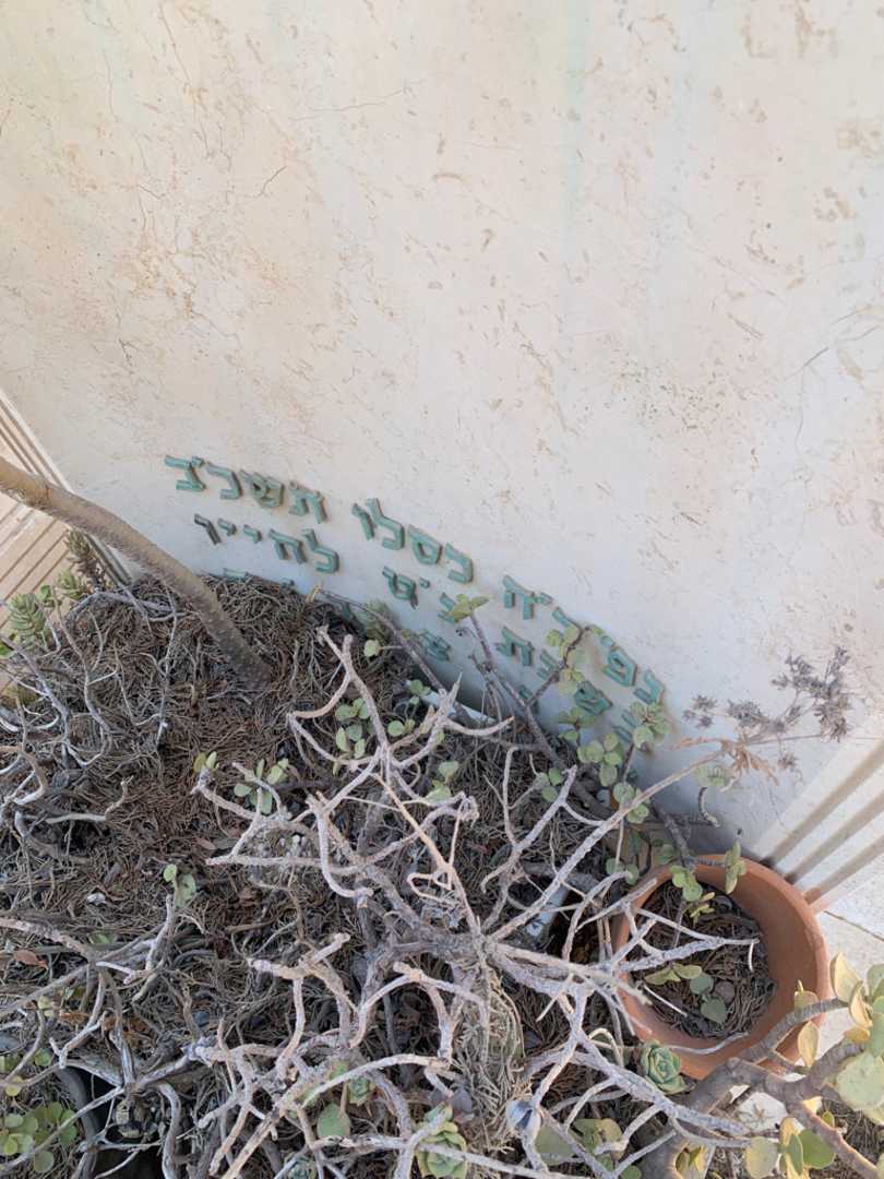 קברו של שניאור זלמן. תמונה 3