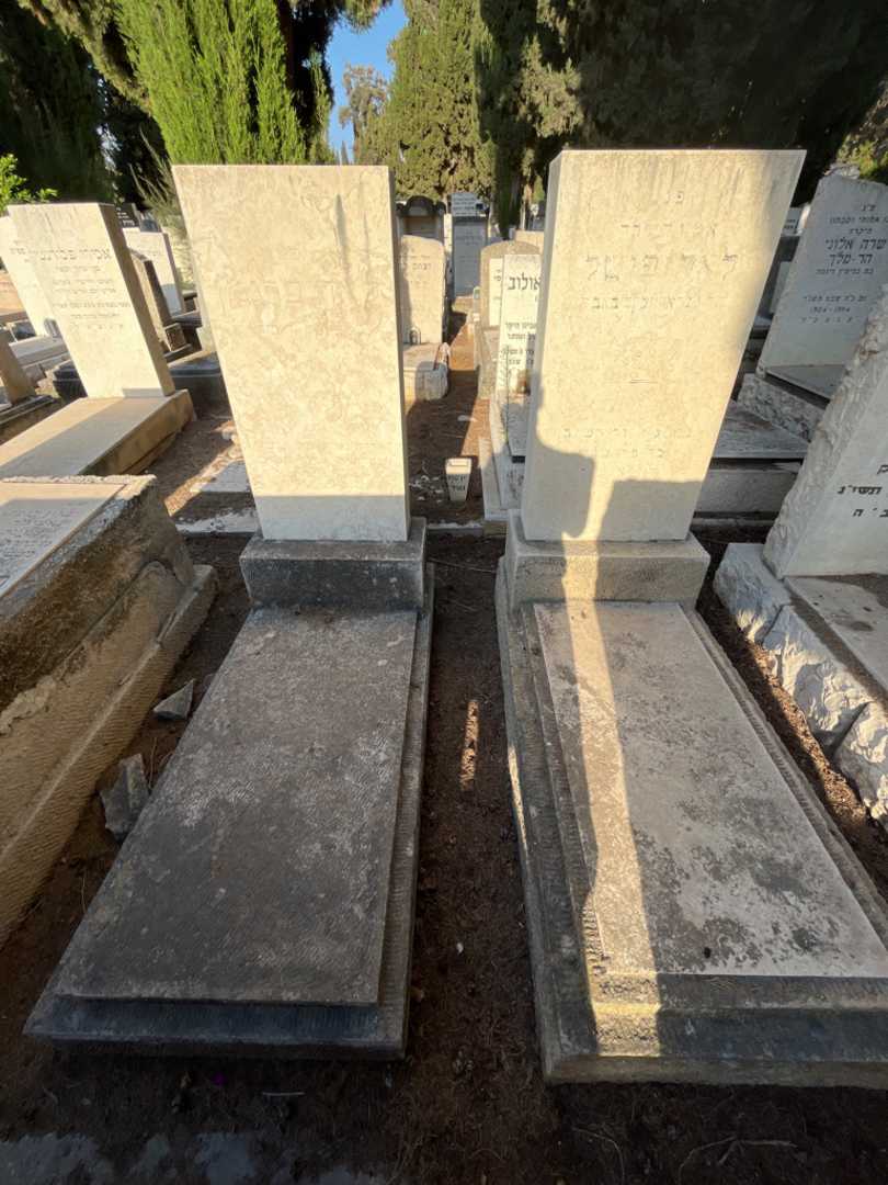 קברו של לאה ברגמן. תמונה 1