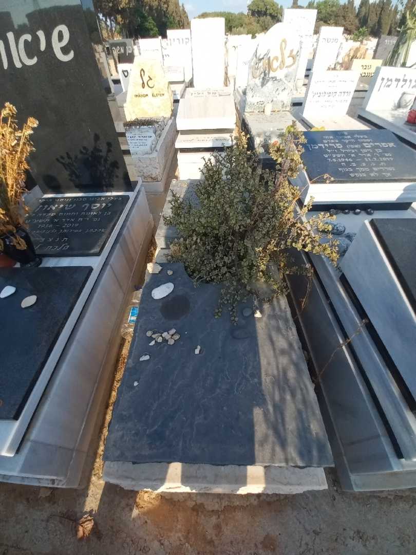 קברו של משה "בוצ'ו" ארמה. תמונה 2