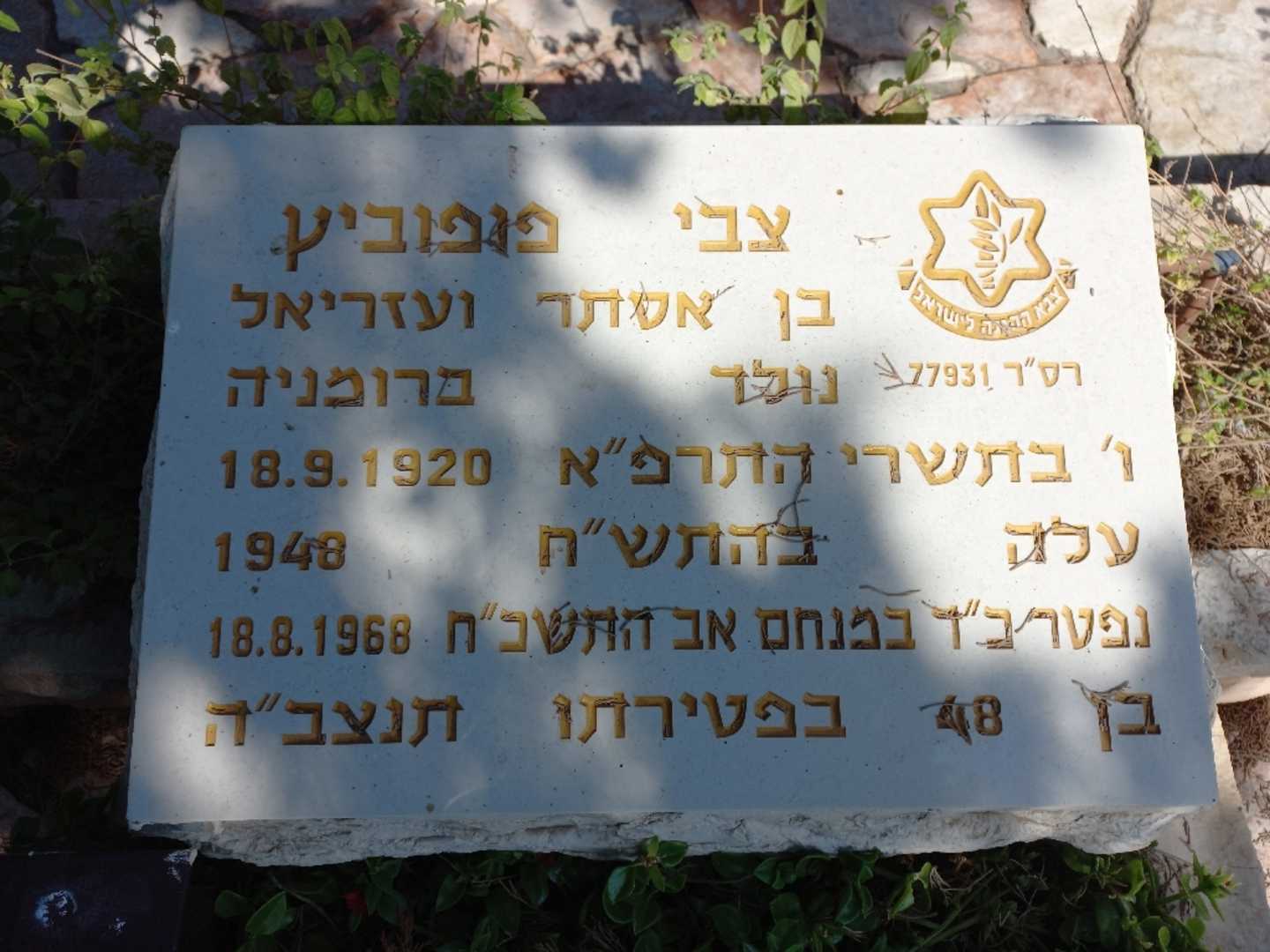 קברו של צבי פופוביץ. תמונה 2