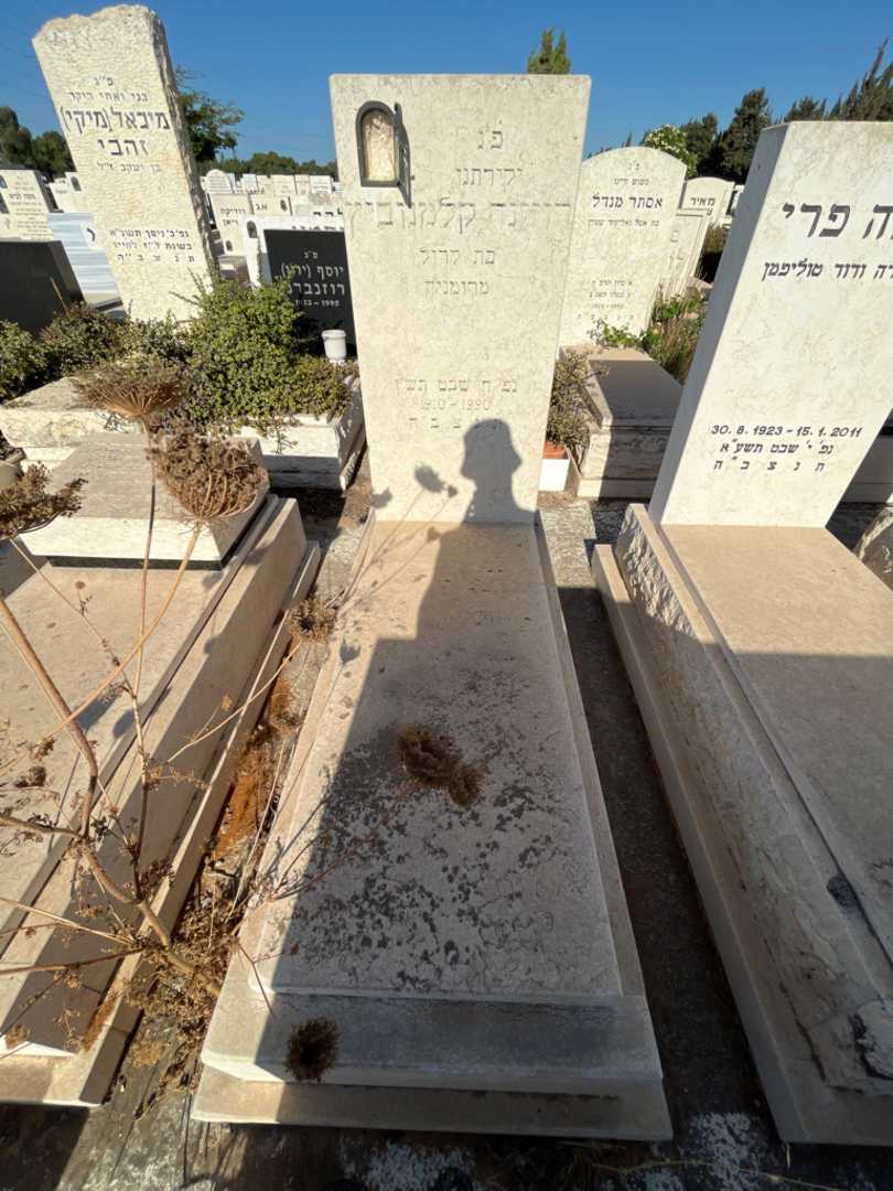 קברו של רוזינה קלמנוביץ