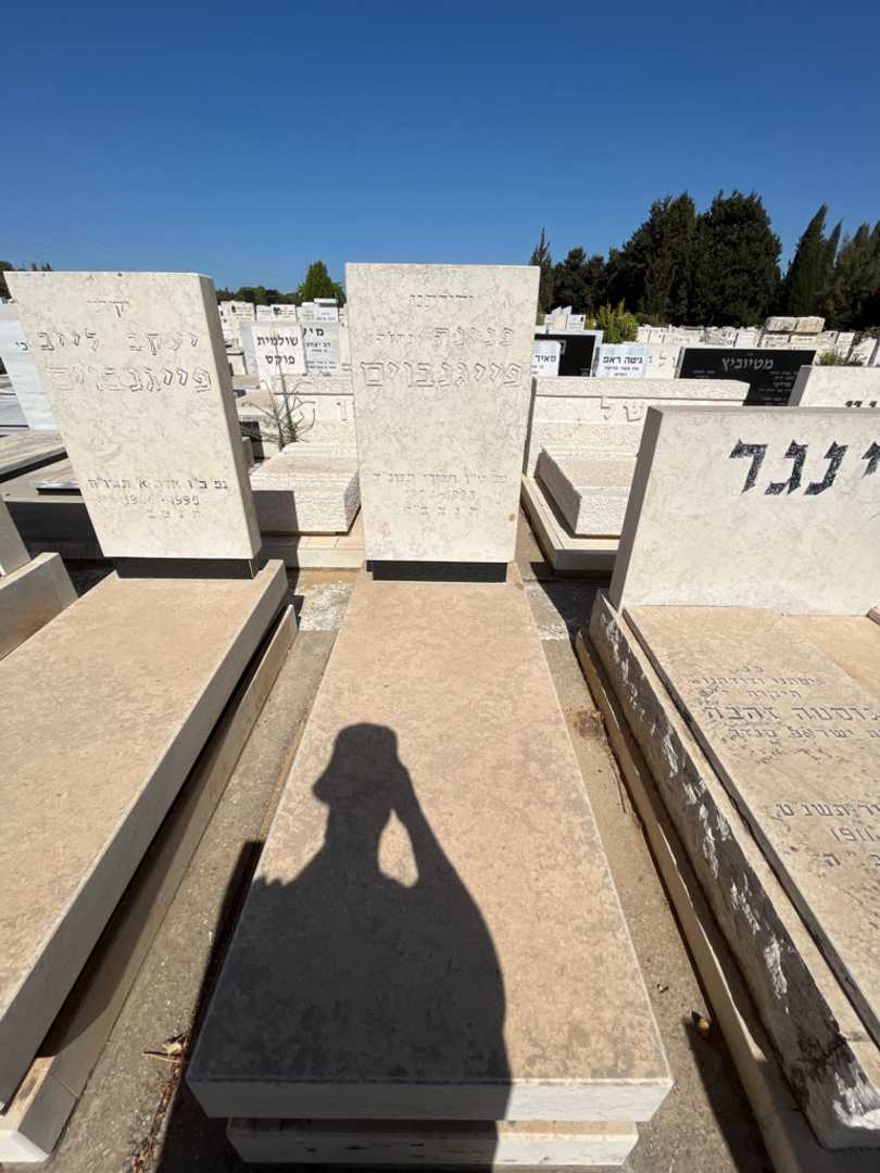 קברו של פנינה "פרלה" פייגנבוים. תמונה 1