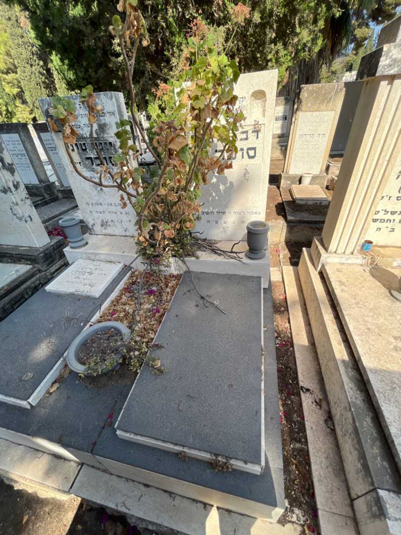 קברו של דב סוכר. תמונה 1