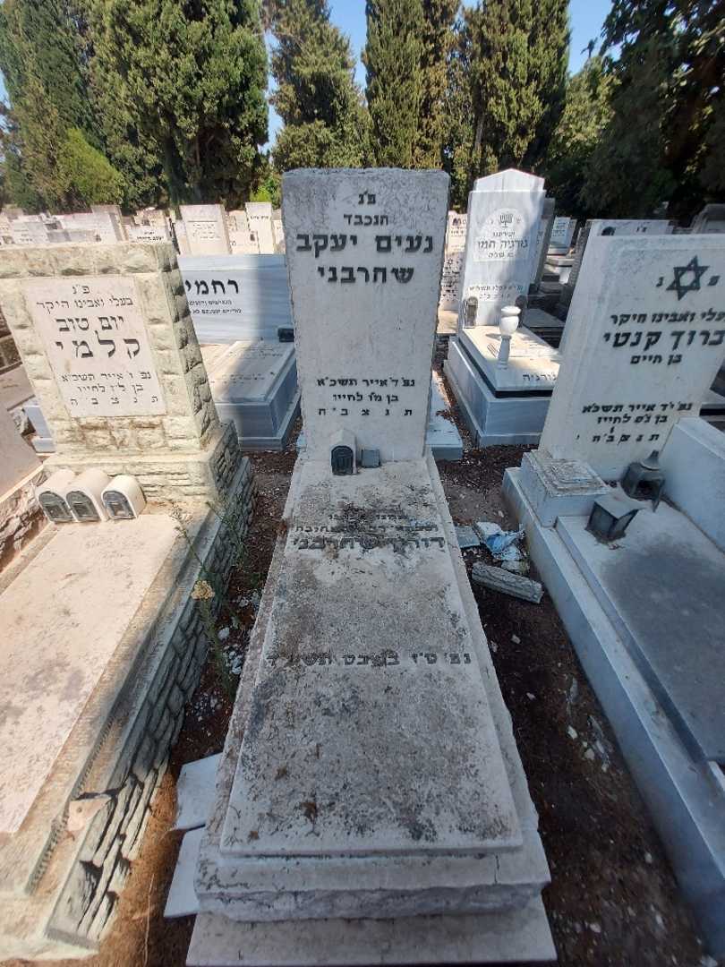 קברו של נעים יעקב שהרבני. תמונה 1