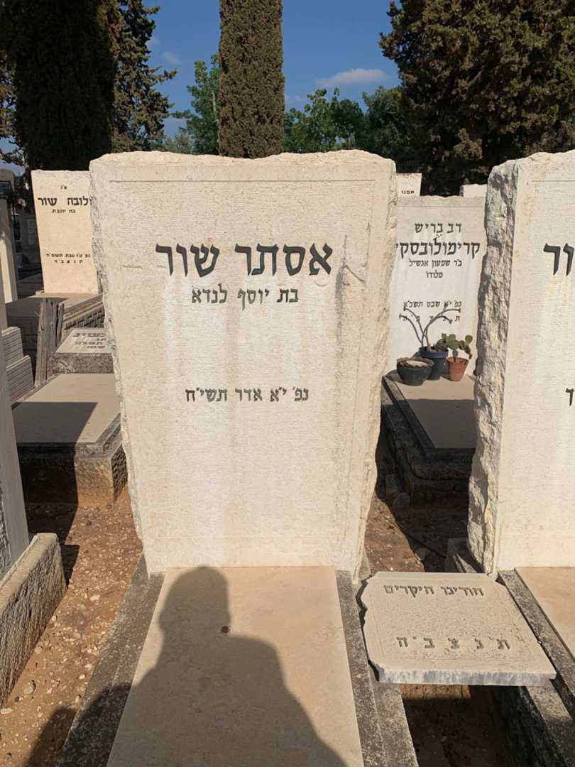 קברו של אסתר שור. תמונה 2