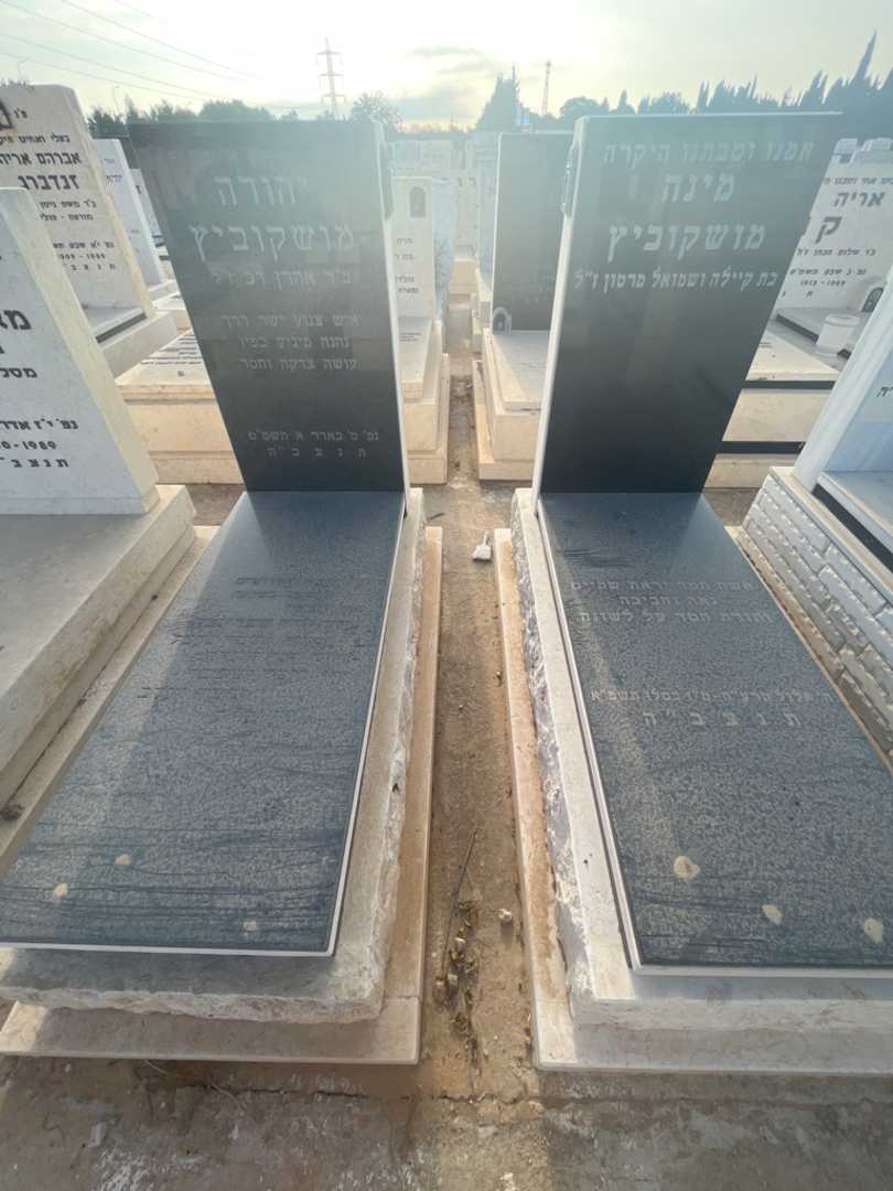 קברו של יהודה מושקוביץ. תמונה 1