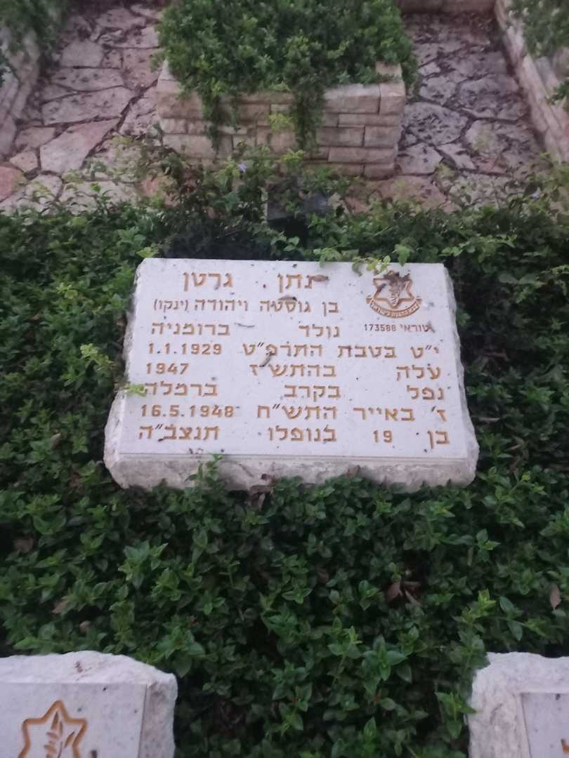 קברו של נתן גרטן