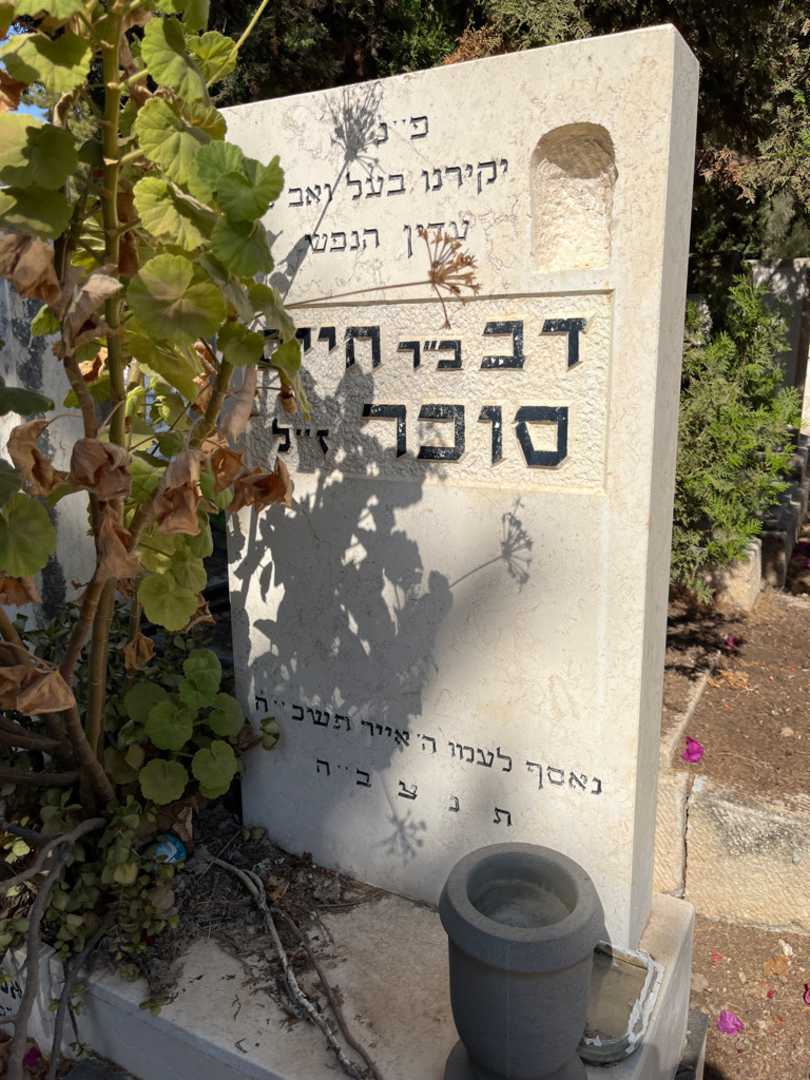 קברו של דב סוכר. תמונה 2
