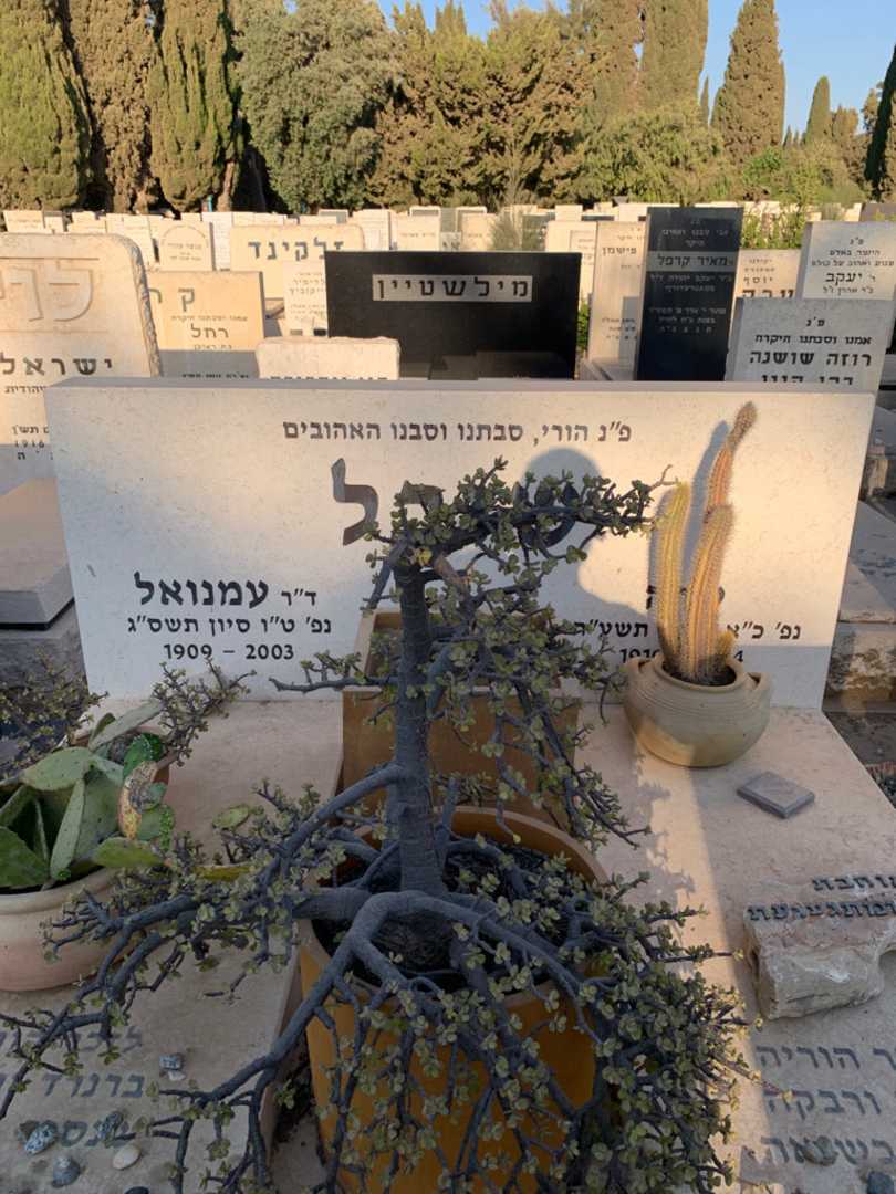 קברו של עמנואל שובל. תמונה 1