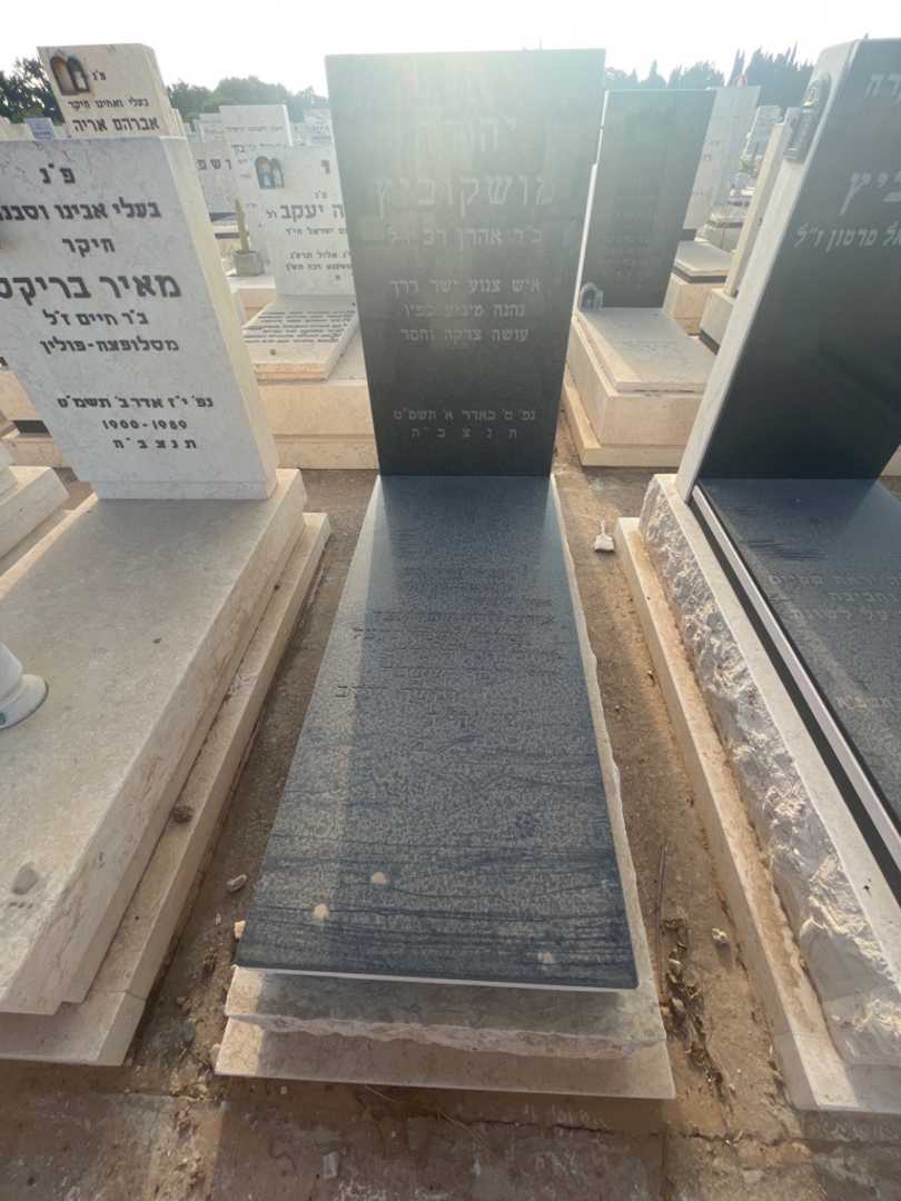 קברו של יהודה מושקוביץ. תמונה 2