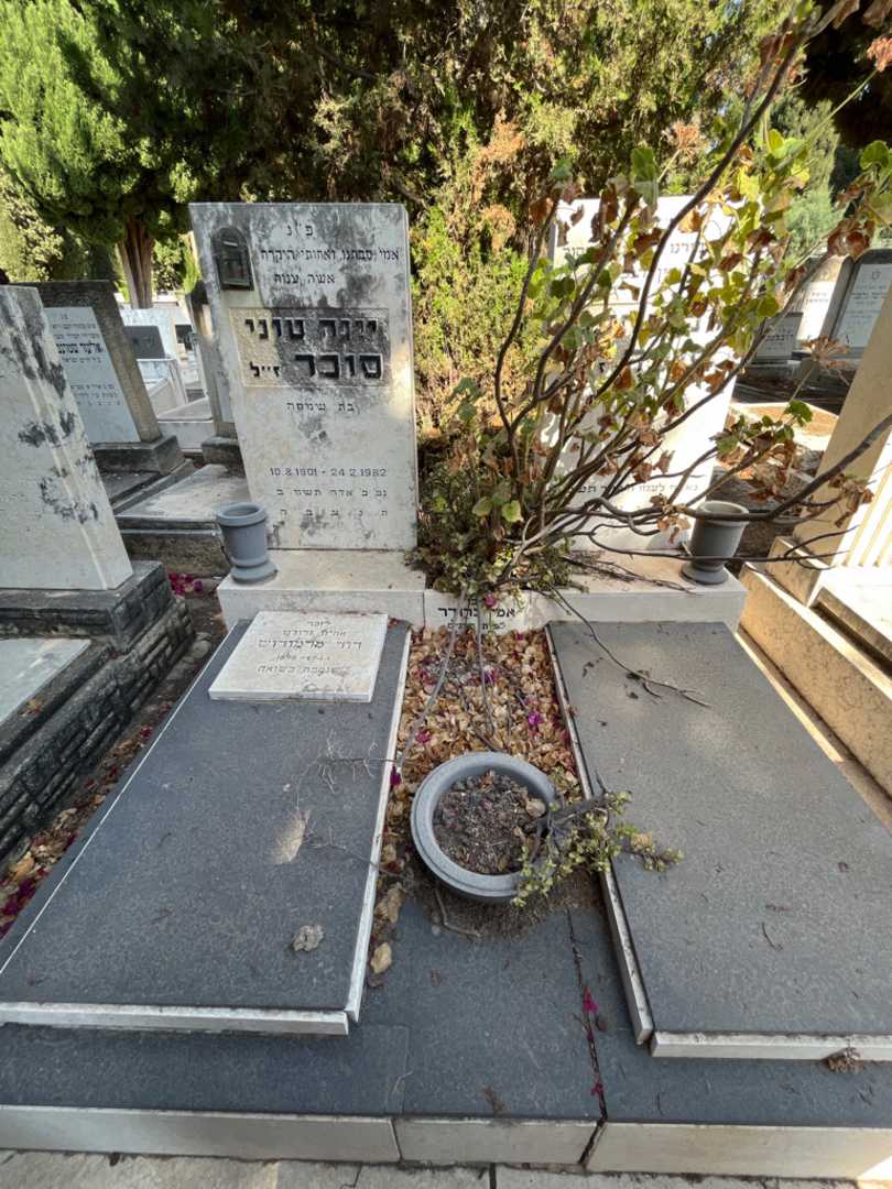 קברו של דב סוכר. תמונה 3
