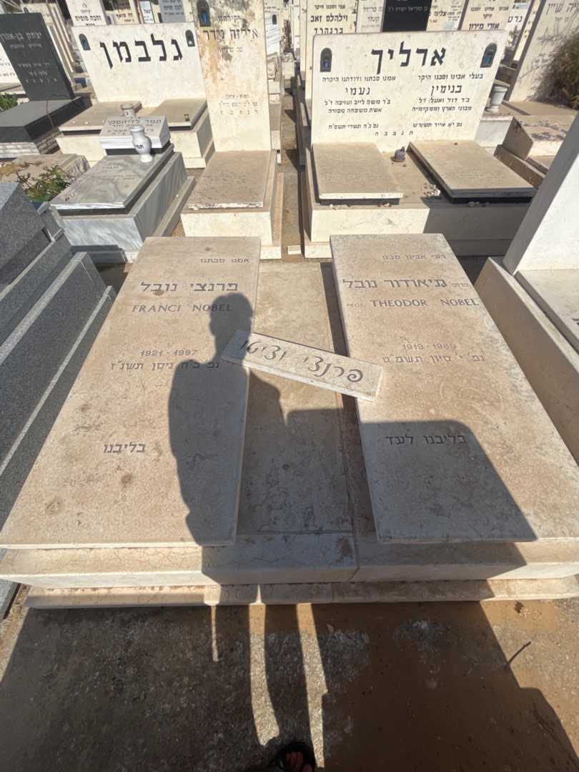 קברו של תיאודור "THEODOR NOBEL ציטו" נובל. תמונה 1