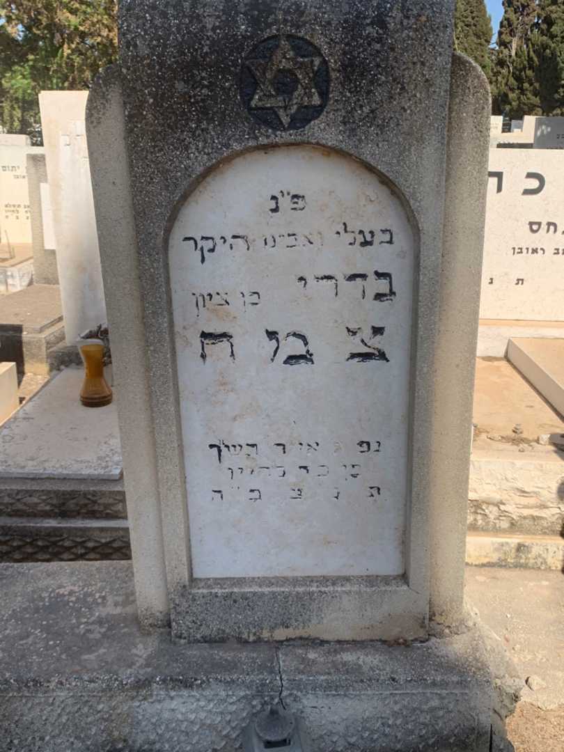 קברו של בדרי צמח