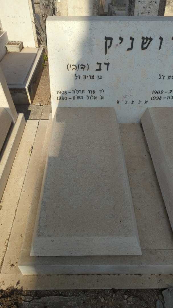 קברו של דב "דובי" דושניק. תמונה 1