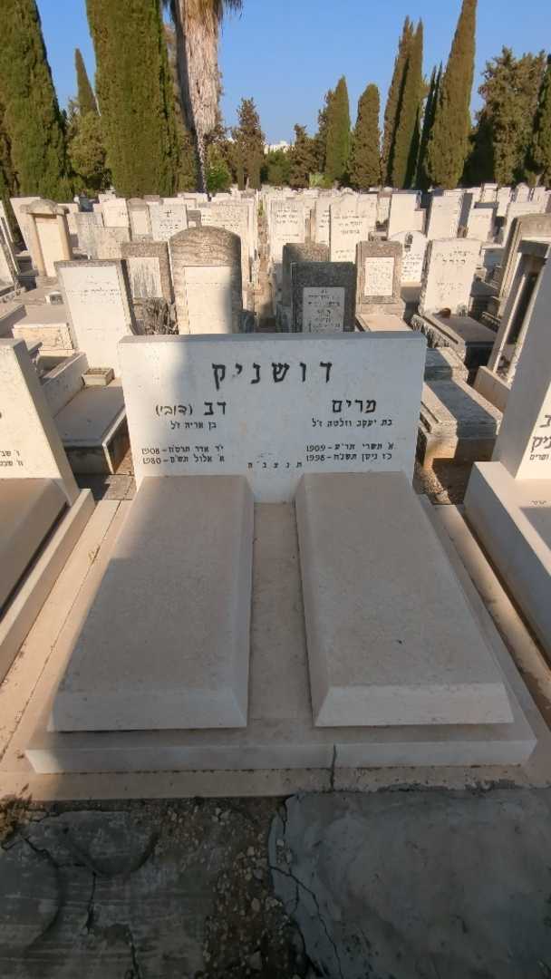 קברו של דב "דובי" דושניק. תמונה 2