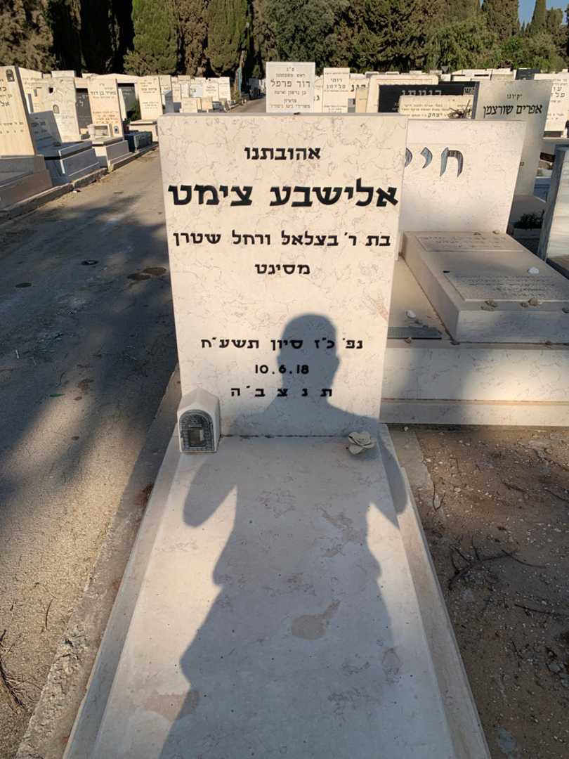 קברו של אלישבע צימט