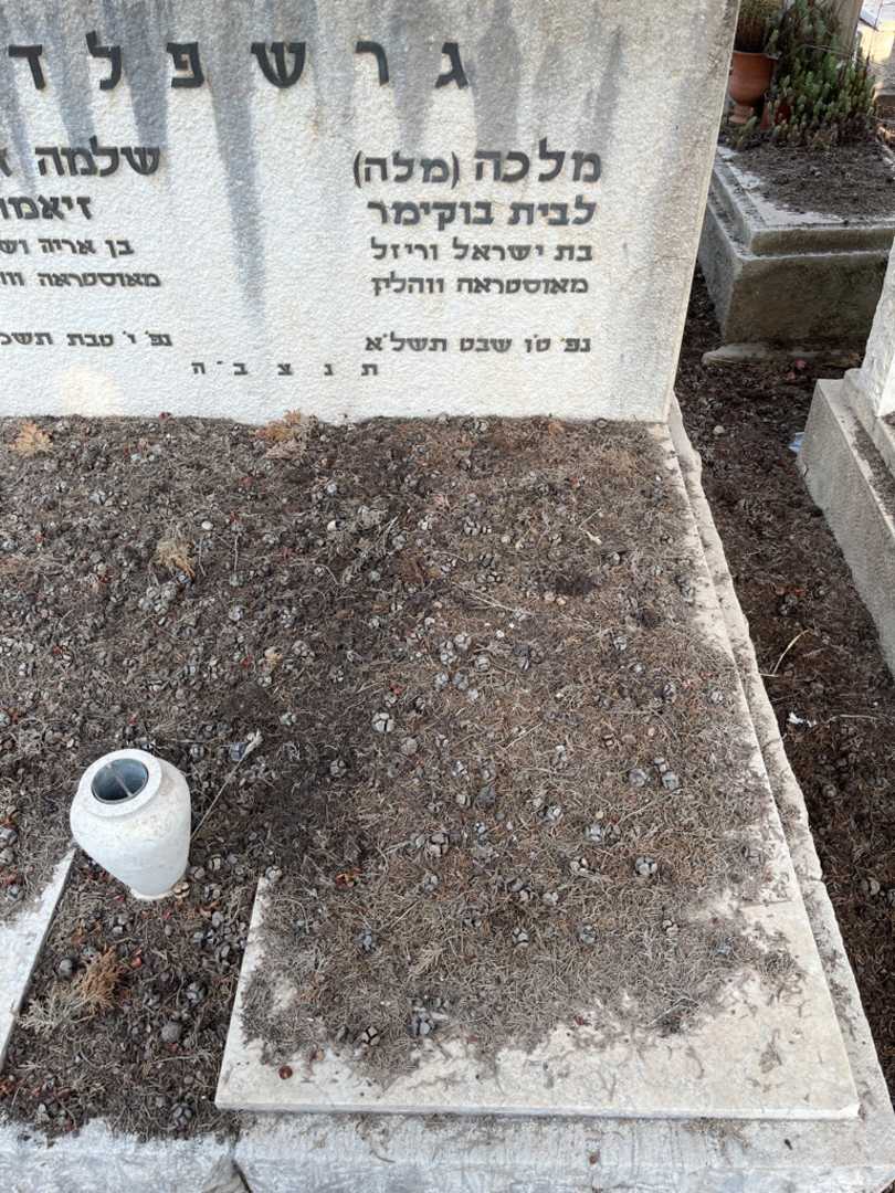 קברו של מלכה "מלה" גרשפלד. תמונה 1