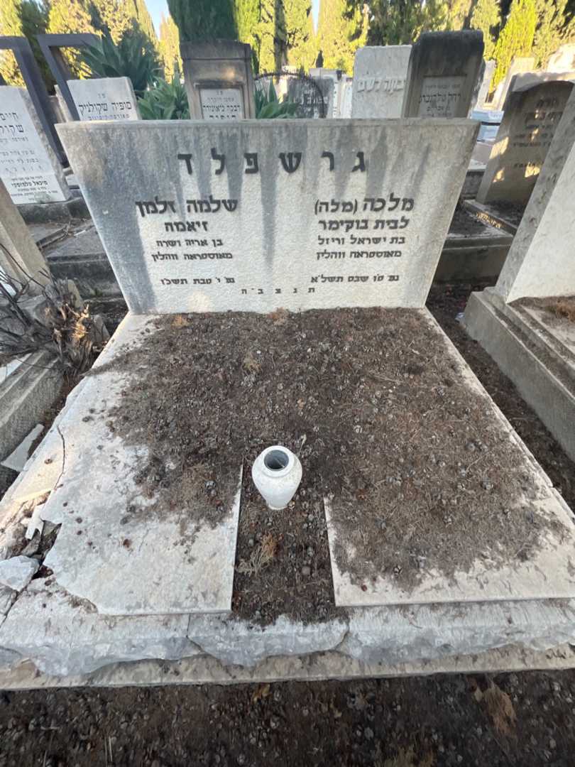 קברו של מלכה "מלה" גרשפלד. תמונה 2