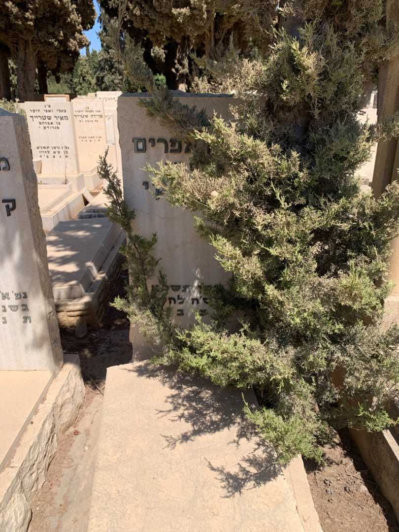 קברו של מנשה אפרים קנישינסקי בן-דב. תמונה 1