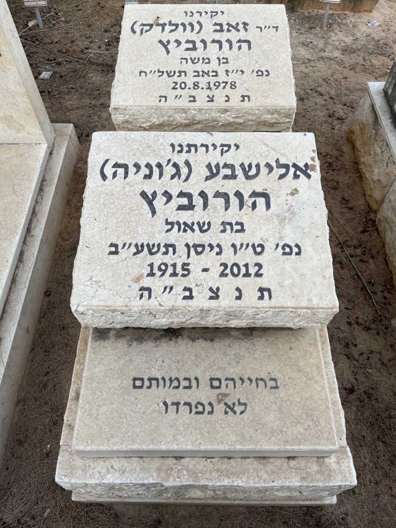 קברו של אלישבע "ג'וניה" הורוביץ