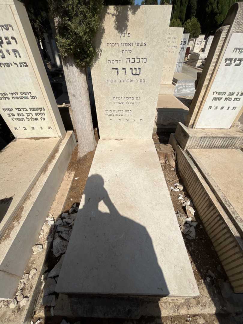 קברו של מלכה "הדסה" שור