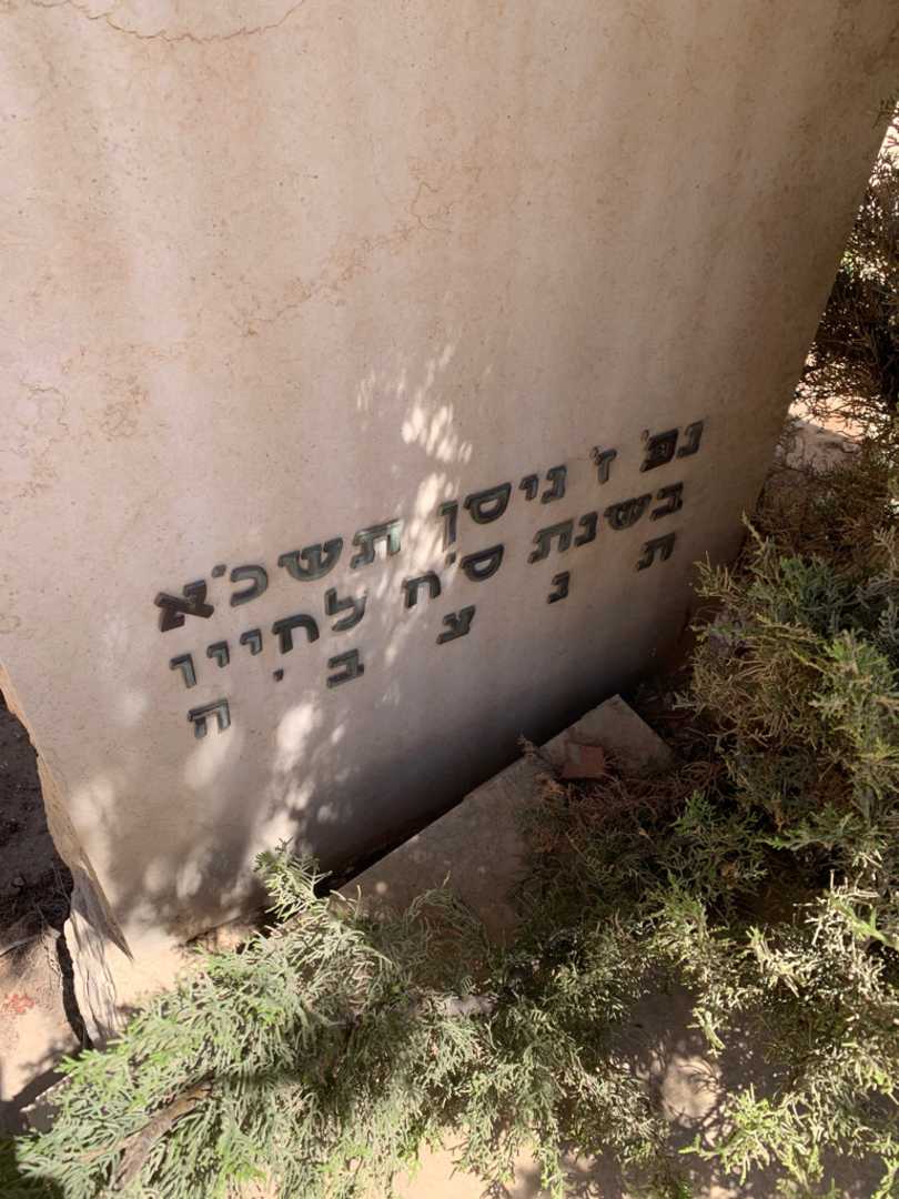 קברו של מנשה אפרים קנישינסקי בן-דב. תמונה 3
