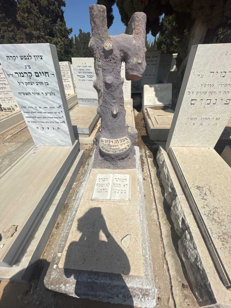 קברו של משה לה וילקר