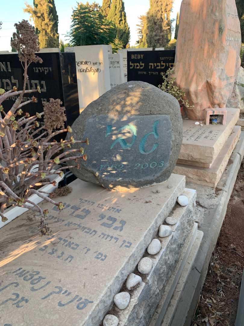 קברו של גבי בדש. תמונה 2