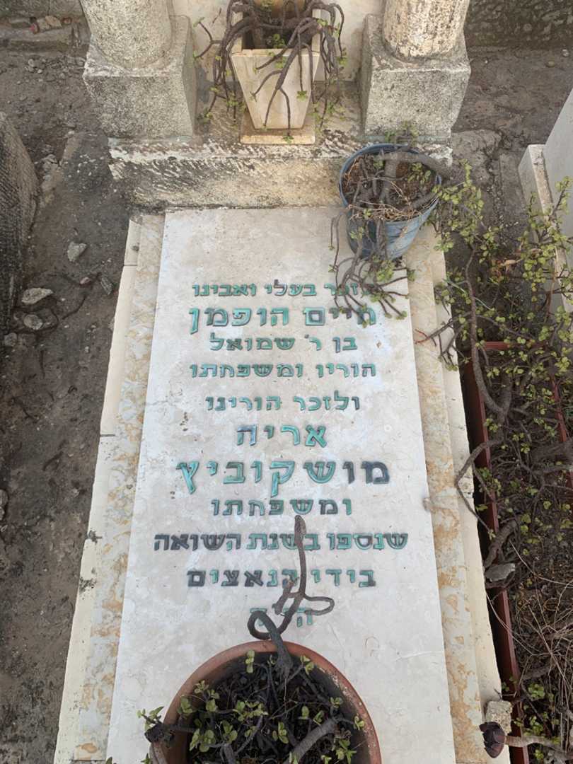 קברו של צבי הופמן. תמונה 1