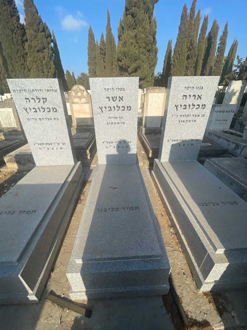 קברו של אשר מכלוביץ. תמונה 1