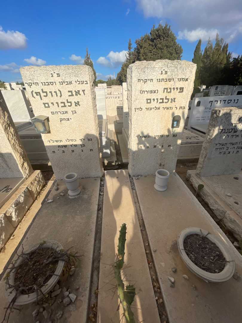 קברו של זאב "וולף" אלביום. תמונה 1